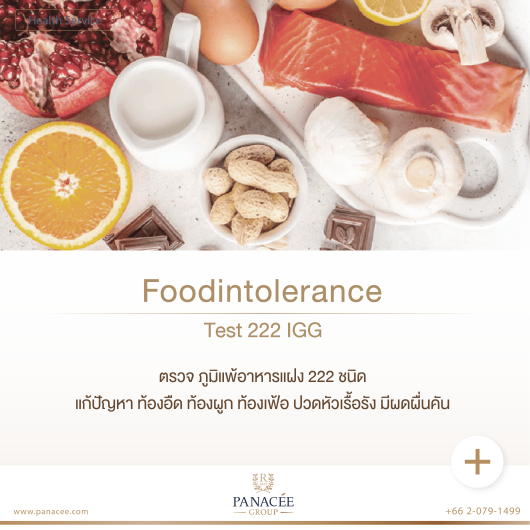 Food Intolerance Test Igg Panacee Med