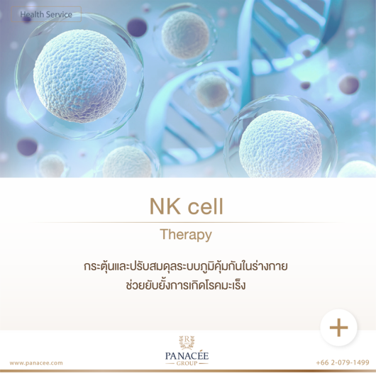 Nk Cell Therapy Panacee Med